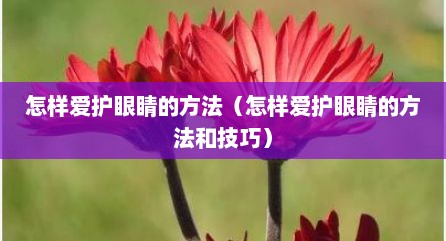怎样爱护眼睛的方法（怎样爱护眼睛的方法和技巧）