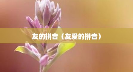 友的拼音（友爱的拼音）
