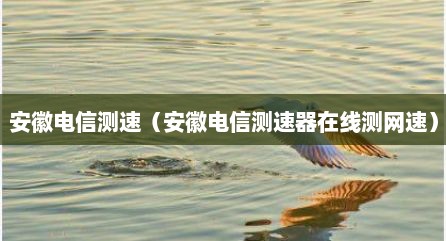 安徽电信测速（安徽电信测速器在线测网速）