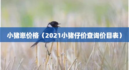 小猪崽价格（2021小猪仔价查询价目表）