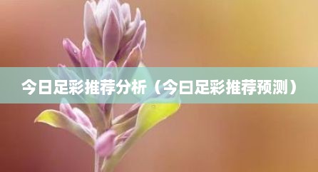 今日足彩推荐分析（今曰足彩推荐预测）
