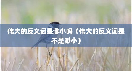 伟大的反义词是渺小吗（伟大的反义词是不是渺小）