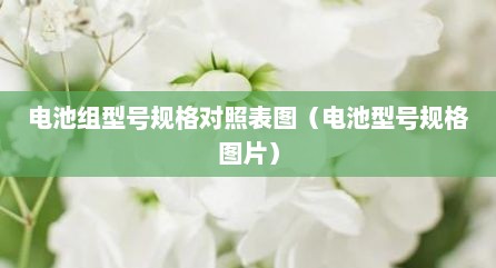 电池组型号规格对照表图（电池型号规格图片）