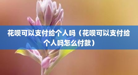 花呗可以支付给个人吗（花呗可以支付给个人吗怎么付款）