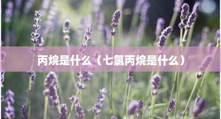 丙烷是什么（七氯丙烷是什么）