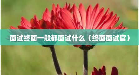 面试终面一般都面试什么（终面面试官）