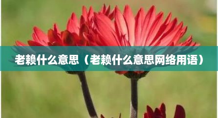 老赖什么意思（老赖什么意思网络用语）