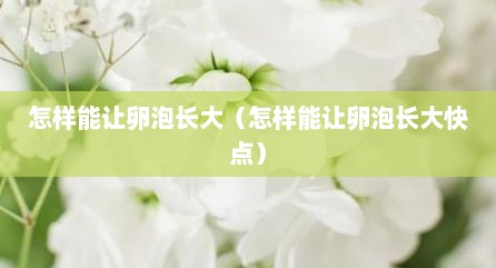 怎样能让卵泡长大（怎样能让卵泡长大快点）