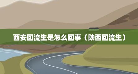 西安回流生是怎么回事（陕西回流生）
