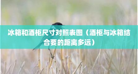 冰箱和酒柜尺寸对照表图（酒柜与冰箱结合要的距离多远）