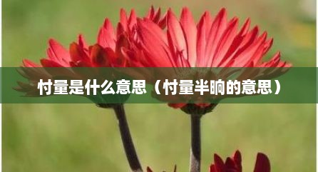 忖量是什么意思（忖量半晌的意思）
