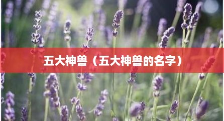五大神兽（五大神兽的名字）