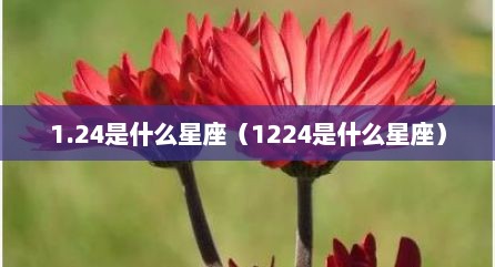 1.24是什么星座（1224是什么星座）