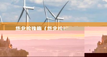华北珍珠梅（华北珍珠梅什么科）
