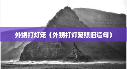 外甥打灯笼（外甥打灯笼照旧造句）