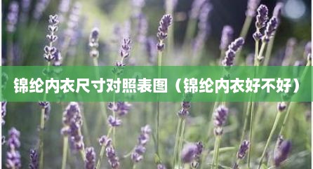 锦纶内衣尺寸对照表图（锦纶内衣好不好）