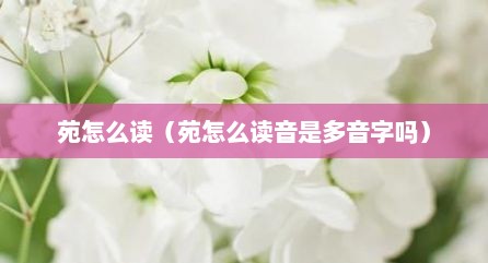 苑怎么读（苑怎么读音是多音字吗）
