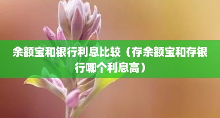 余额宝和银行利息比较（存余额宝和存银行哪个利息高）