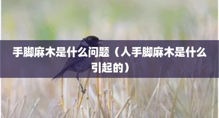 手脚麻木是什么问题（人手脚麻木是什么引起的）