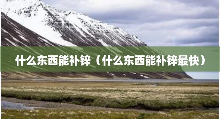 什么东西能补锌（什么东西能补锌最快）