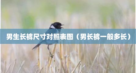 男生长裤尺寸对照表图（男长裤一般多长）