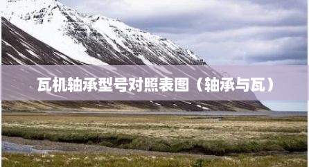 瓦机轴承型号对照表图（轴承与瓦）