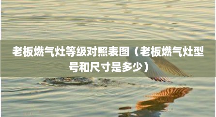 老板燃气灶等级对照表图（老板燃气灶型号和尺寸是多少）