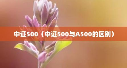中证500（中证500与A500的区别）