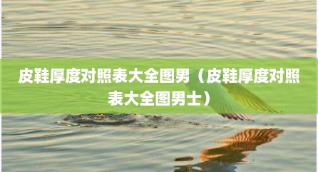 皮鞋厚度对照表大全图男（皮鞋厚度对照表大全图男士）