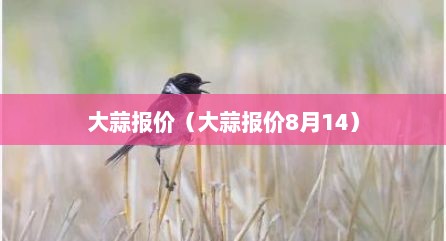 大蒜报价（大蒜报价8月14）