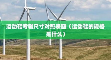运动鞋专辑尺寸对照表图（运动鞋的规格是什么）