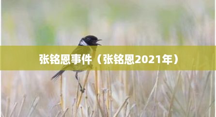 张铭恩事件（张铭恩2021年）