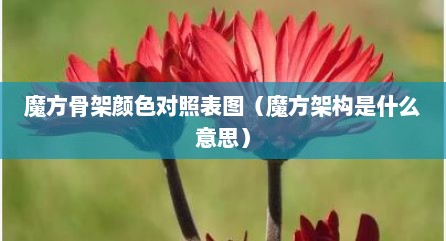 魔方骨架颜色对照表图（魔方架构是什么意思）