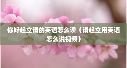 你好起立请的英语怎么读（请起立用英语怎么说视频）