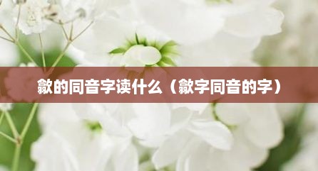 歙的同音字读什么（歙字同音的字）