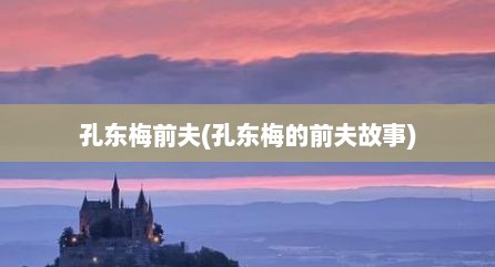 孔东梅前夫(孔东梅的前夫故事)