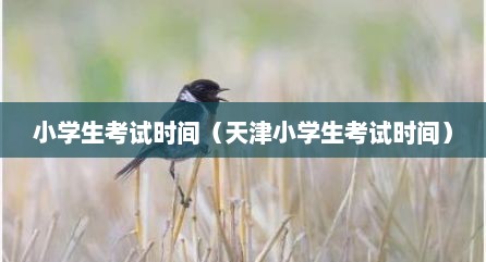 小学生考试时间（天津小学生考试时间）