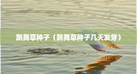 跳舞草种子（跳舞草种子几天发芽）