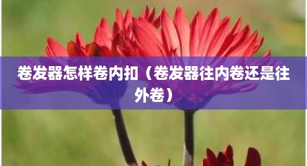卷发器怎样卷内扣（卷发器往内卷还是往外卷）