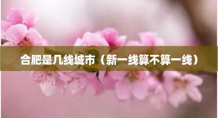 合肥是几线城市（新一线算不算一线）
