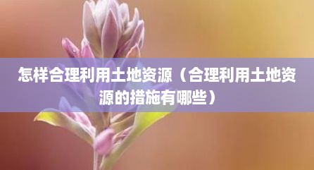 怎样合理利用土地资源（合理利用土地资源的措施有哪些）