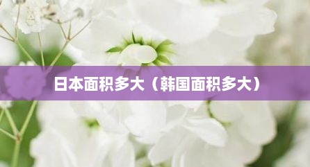 日本面积多大（韩国面积多大）