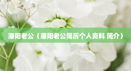 潘阳老公（潘阳老公简历个人资料 简介）