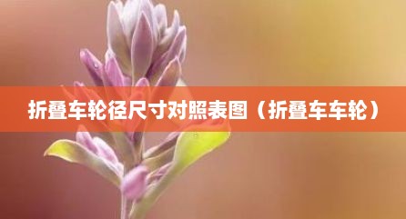 折叠车轮径尺寸对照表图（折叠车车轮）
