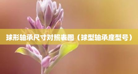 球形轴承尺寸对照表图（球型轴承座型号）