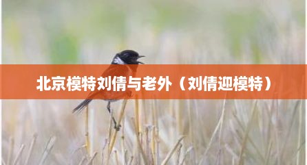 北京模特刘倩与老外（刘倩迎模特）