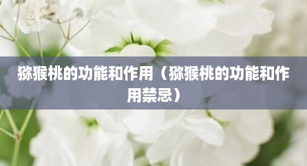 猕猴桃的功能和作用（猕猴桃的功能和作用禁忌）