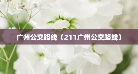 广州公交路线（211广州公交路线）