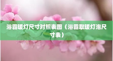 浴霸暖灯尺寸对照表图（浴霸取暖灯泡尺寸表）