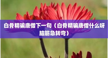 白骨精骗唐僧下一句（白骨精骗唐僧什么呀脑筋急转弯）